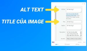 Thuộc Tính Alt Trong Thẻ IMG Có Tác Dụng Gì?